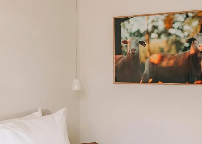 Lenscape Coterie Porto