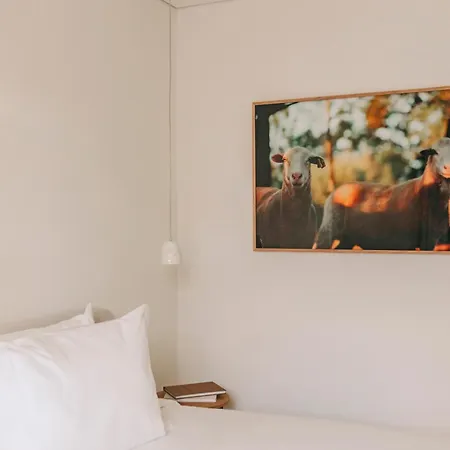 Lenscape Coterie Oporto